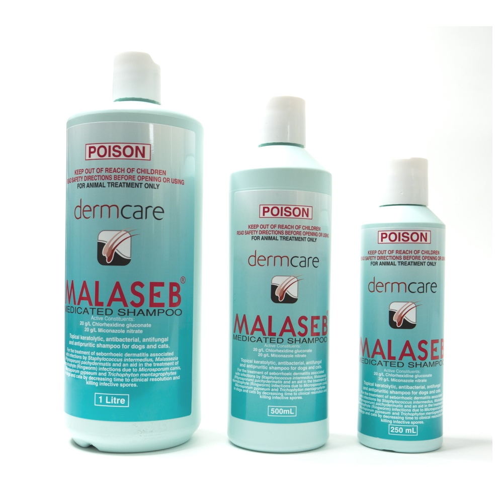 malaseb shampoo pets at home