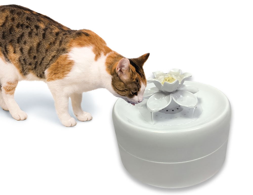 waterfall fountain for cats