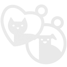 KONG Cat Wobbler Interactive Treat Dispensing Cat Toy - 1 Unit/s