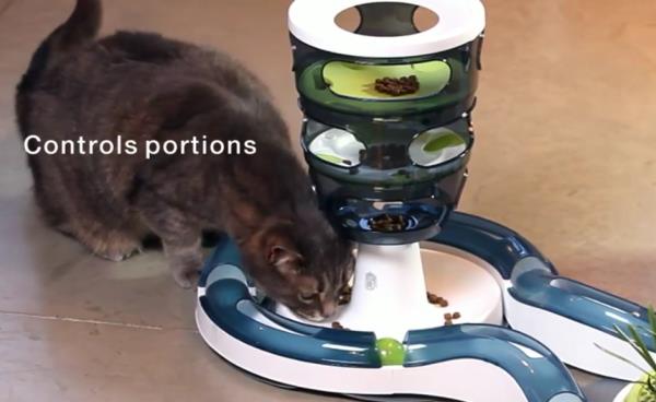 maze feeder for cats
