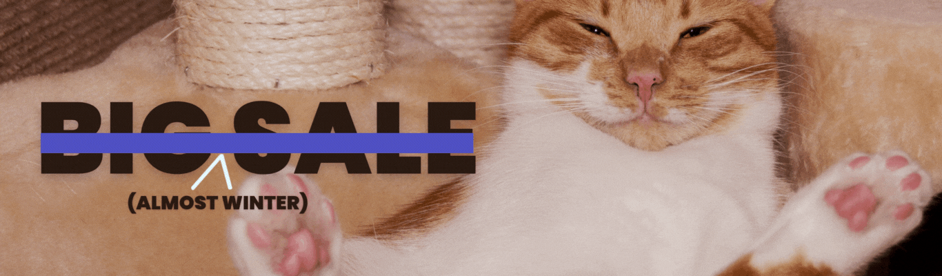Winter Sale N-D