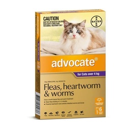 Advocate Spot-On Flea & Worm Control for Cats over 4kg - 6-Pack
