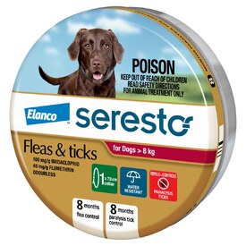 Seresto Flea & Tick Collar for Dogs Over 8kg - Up to 8 Month Protection