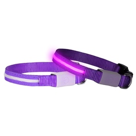 DogLite LED Light-up Dog Collar for Mini & Small Dogs