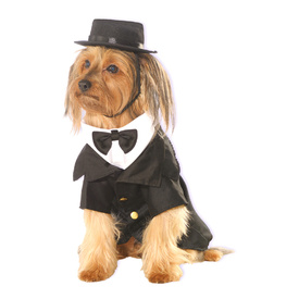 Dapper Dog Formal Suit Pet Costume - Perfect for Weddings - Medium