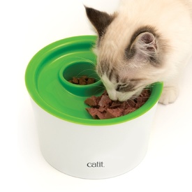 cat pawing at food bowl