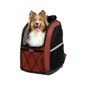 Ibiyaya Champion 3-in-1 Carrier, Backpack & Car Seat for Dogs up to 12kg