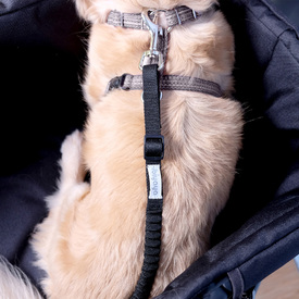 Ibiyaya No Shock Bungee Leash Extension/ Stroller Tether - Black or Grey