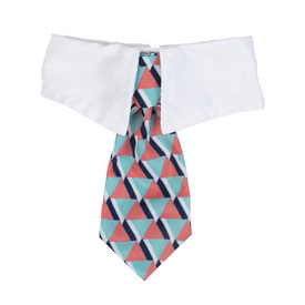Fuzzyard Neck Tie for Cats & Dogs - Monsieur Guava