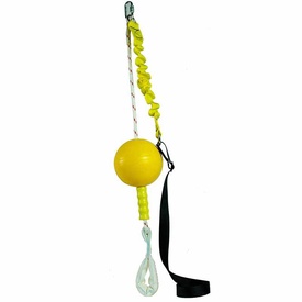 Aussie Dog Home Alone Hanging Treat Dispensing Dog Toy - Large