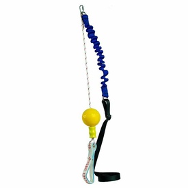 Aussie Dog Home Alone Hanging Treat Dispensing Dog Toy - Mini