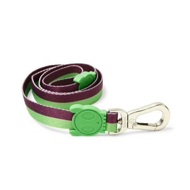 Zee Dog Adjustable Dog Collar - Vice Green & Purple Stripe