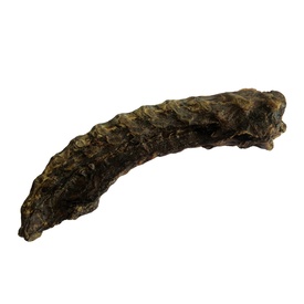 Natural Dried Australian Kangaroo Retriever Bone Dog Chew