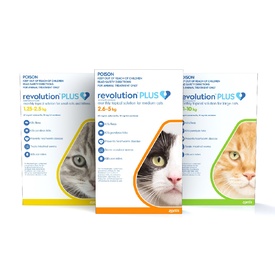Revolution PLUS Flea, Worm & Tick Topical Prevention for Kittens &  Adult Cats 3-Pack