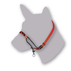 Black Dog Training Head Halter with Chin Clip - Large - Red