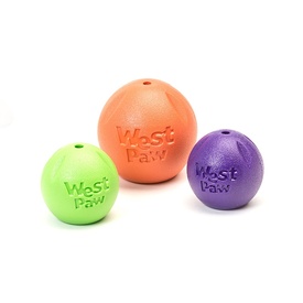 West Paw Rando Bouncing Floating Ball Dog Toy