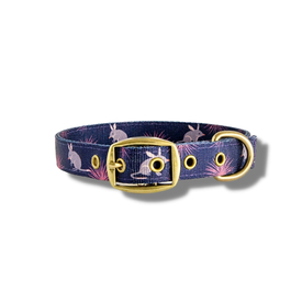 Anipal Billie The Bilby Brass & 100% Recycled Dog Collar
