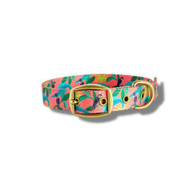 Anipal Clancy The Black Cockatoo Brass& 100% Recycled Dog Collar 