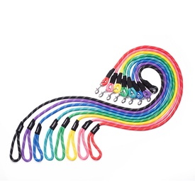 Zippy Paws Adventure Climbers Tough Dog Leash - 2 lengths!
