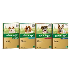 Advantage for Dogs 6 Pack - Kills Fleas Fast - All Sizes Available