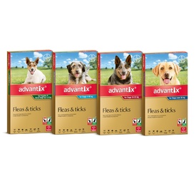 Advantix for Dogs 6 Pack - Fleas Ticks Biting Insects - All Sizes Available