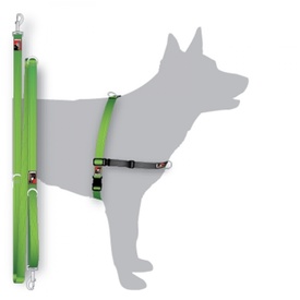 Black Dog Balance Halter & Lead Training Pack - Green