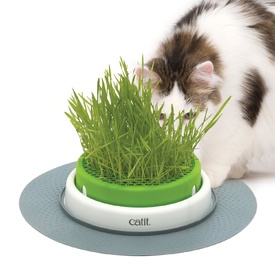 Catit 2.0 Cat Grass Planter Kit with Starter Grass Pack