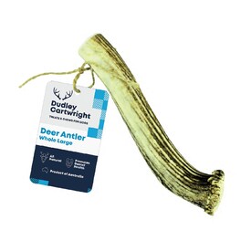 Dudley Cartwright Whole Antler Dental Dog Chew - Naturally shed