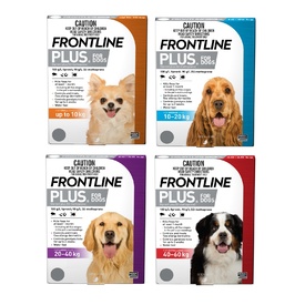 Frontline Plus Flea & Tick Protection for Dogs - 6 Pack
