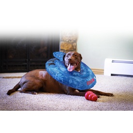 Kong Air cushioned Dog collar