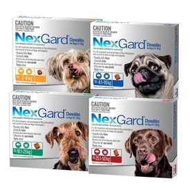 Nexgard Flea & Tick Chew for Dogs - 3 Pack