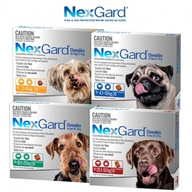 Nexgard Flea & Tick Chew for Dogs - 6 Pack