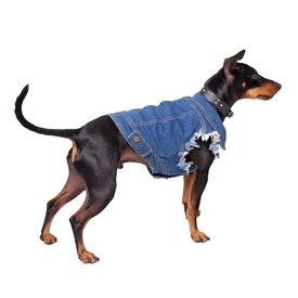 Pethaus Australia Tough Real Denim Jacket Dog Vest with Cut-Off Sleeves