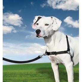 Petsafe Easy Walk Front-Attachment Harness and Lead Set