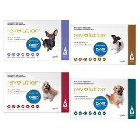 Revolution Flea, Heartworm & all Wormer for Dogs Stop Fleas 6 pk + FREE All Wormer Small, Medium or Large