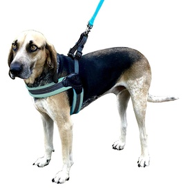Sporn Easy Fit Comfort No-Pull Harness in Blue