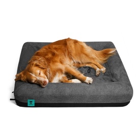 Zee Dog Soft Cushioned Hypoallergenic Bed in a Box Dog Bed