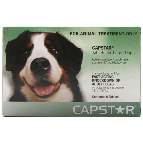 Capstar Fast Flea Knockdown for Cats and Dogs - Green - Large dogs main image