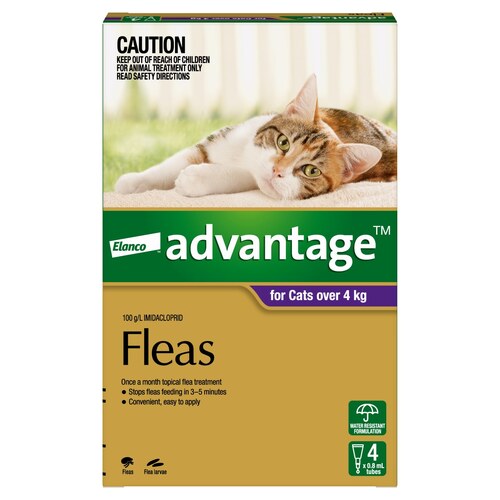 Advantage Spot-On Flea Control Treatment for Cats over 4kg - 4-Pack main image