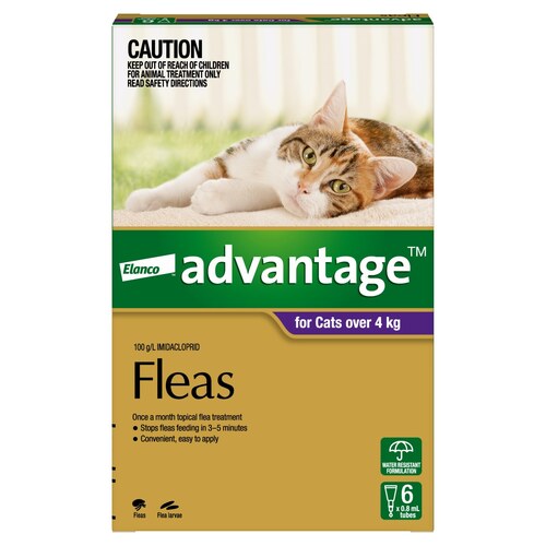 Advantage Spot-On Flea Control Treatment for Cats over 4kg - 6-Pack main image