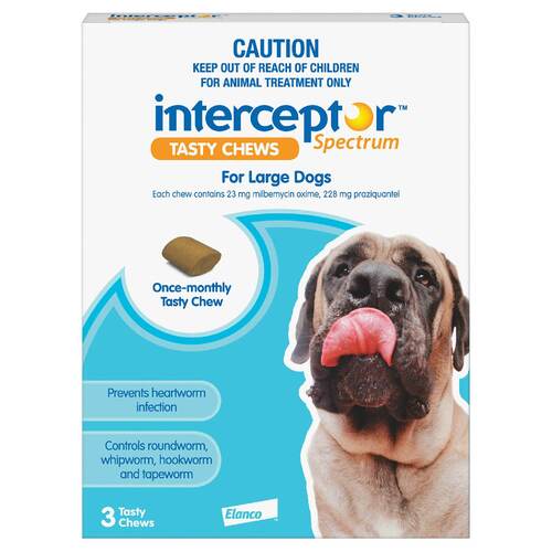 Interceptor for Dogs Chewable Wormer - Blue - 3 Pack for Large Dogs 22-45kg main image