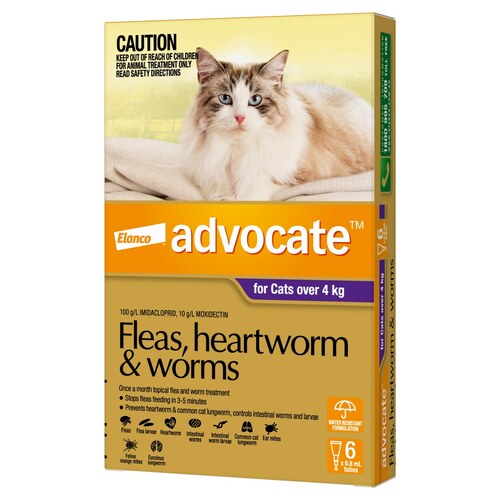 Advocate Spot-On Flea & Worm Control for Cats over 4kg - 6 Pack main image