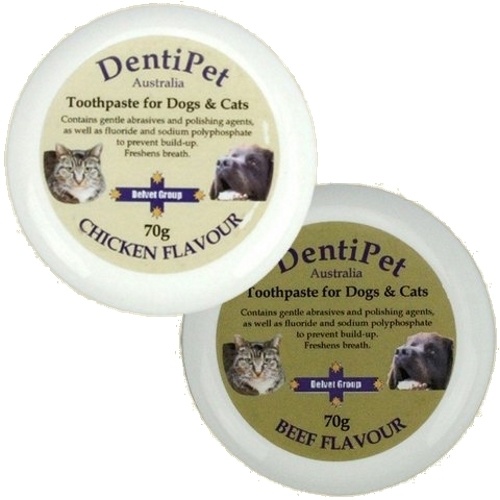 Dentipet Toothpaste for your Cat or Dog [Flavour: Chicken] main image
