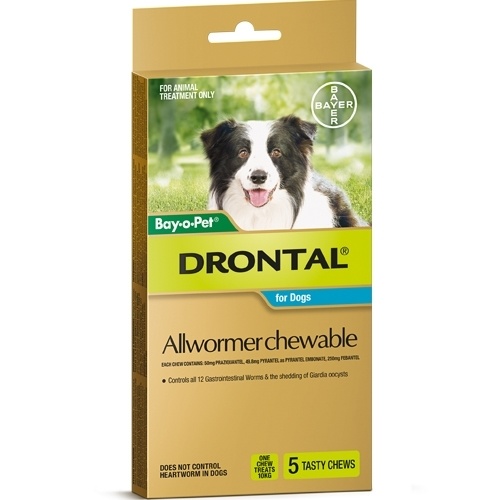 Drontal All-Wormer for Medium Dogs up to 10kg - 5 Chews main image