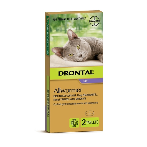 Drontal Intestinal All-Wormer for Cats & Kittens Up to 4kg - 2 Tablets main image