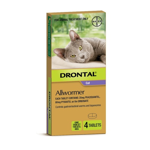 Drontal Intestinal All-Wormer for Cats & Kittens Up to 4kg - 4 Tablets main image
