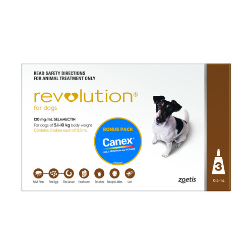 Revolution Flea, Worm & Heartworm Control for Dogs 5.1-10kg - 3 Pack + 1 Month BONUS main image