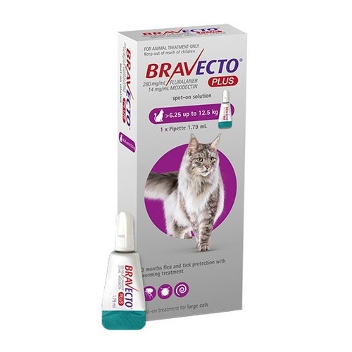Bravecto PLUS Spot-On 3 month Flea, Tick & Worm Protection - For Cats 6.25-12.5kg main image