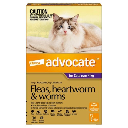 Advocate Spot-On Flea & Worm Control for Cats over 4kg main image