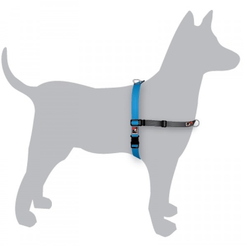 Black Dog Balance Dog Halter with Front & Back attach D-Rings - Large - Blue main image